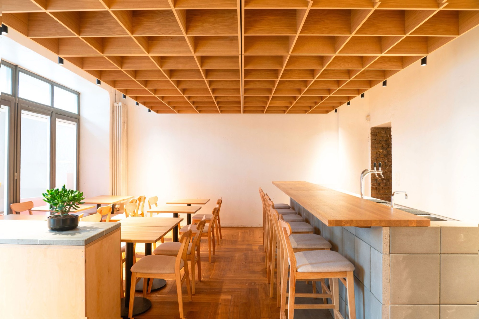 Tokyo Gohan Boxi Flagship